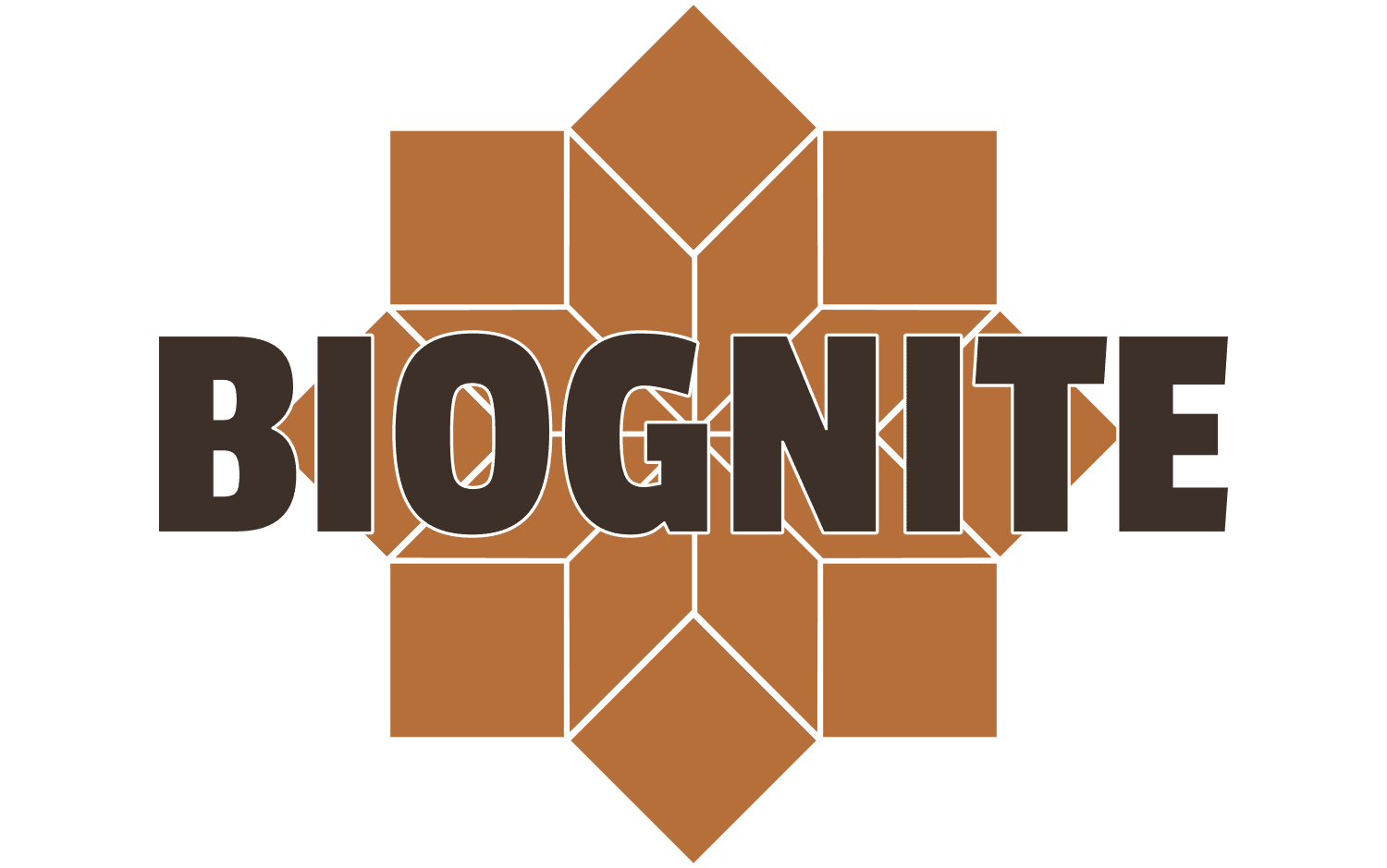 Biognite