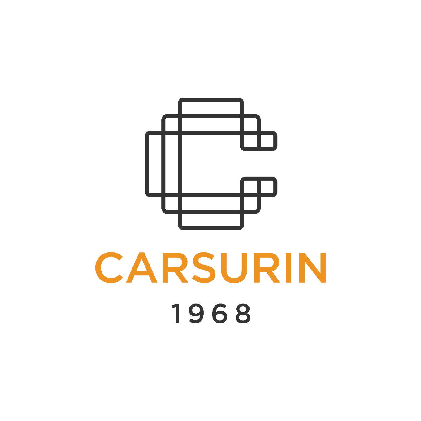 6d22b0df-e46c-401e-b7d6-84ee9301bad8_LOGO-CARSRUIN no BG